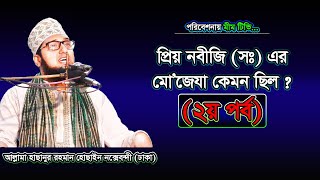 নবিজী (সঃ) এর মো'জেযা (২য় পর্ব) 2019- মাওলানা_মোহাম্মাদ_হাছানুর_রহমান_হোছাইন_নক্সেবন্দী- MiM TV bd