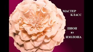 Пион из изолона. Цветы из изолона. Ростовые цветы из изолона