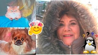 СОВЕТСКИЙ ПАФЮМ | ВЛОГ / VLOG : 25.01.2017