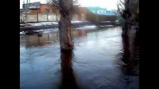 Паводок в центре города Бузулук