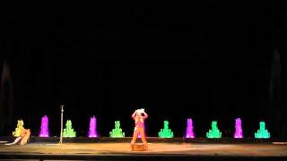 Дрессированные собаки Татьяны Макаровой  Номер Стирка  Tatiana Makarova's circus dogs  TheWash