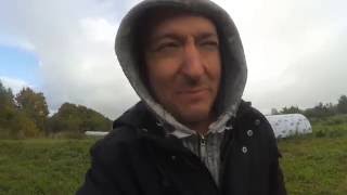 Что такое МОРОКА, и про ремонтантную малину.