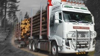 Timber truck loading - Sweden