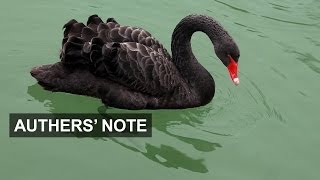 Taleb's fragile world, Part One