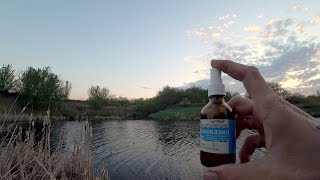 ТАКИХ ЛАПТЕЙ я давно не ловил !! ЛОВЛЯ КАРАСЯ НА МАСЛО !  Рыбалка на маховую поплавочную удочку.