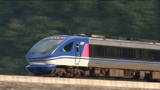 ウサギ跳ねるよ スーパーはくと Japan High speed DMU