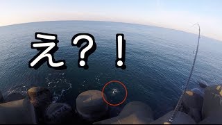 ナブラが湧く海でルアーを投げていたら予想外の大物がヒット！！＃２Unexpected Heavyweights Lure Fishing