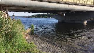 Ловим сома.Рефтинское водохранилище!