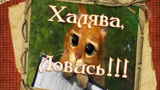 Халява, ловись! Пятак под пятку! Приметы перед экзаменом.