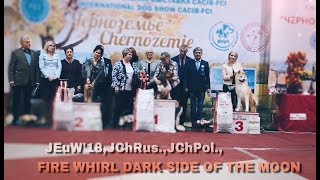 JEuW'18, JChRUS., JChPOL., Fire Whirl Dark Side of the Moon - BEST IN SHOW 3 at IDS