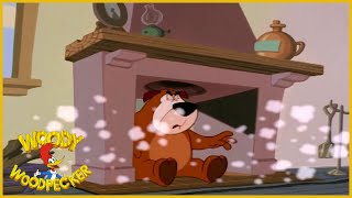 Chilly Willy | Electric Chilly | Full Episodes