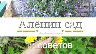 15 полезных советов для сада и огорода!