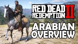 Red Dead Redemption 2 Horses - Arabian Overview