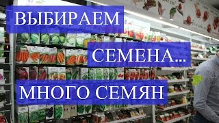 Выбираем Семена: Морковь, Редис, Капуста, Кабачки, Тыква, Базилик.