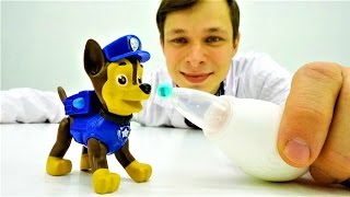 Игры с доктор Ой - Гонщик из Щенячьего патруля потерял нюх.