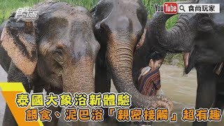 【食尚玩家帶你玩】泰國大象浴新體驗　餵食、泥巴浴「親密接觸」超有趣