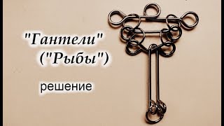 Решение металлической головоломки "Гантели" ("Рыбы", "Сороконожка")
