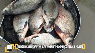 Прикормка и оснастка для ловли трофейного леща в ноябре. Авторский Видео блог "100 рыбалок". 3 серия