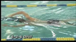 Coach Troy_Swim Technique
