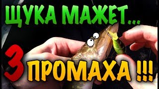 КАКАЯ ЕСТЬ ТАКТИКА ЛОВЛИ ХИЩНОЙ РЫБЫ ПРИ ПРОМАХАХ ПОЧЕМУ ЩУКА НЕ АТАКУЕТ ПОВТОРНО ЩУКА РЫБАЛКА 2018