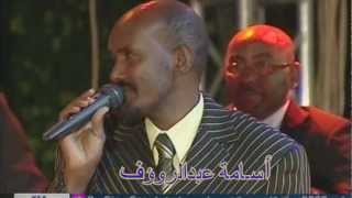 عصام محمد نور الطير المهاجر روعة