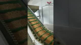 High capacity biomass pellet production line , pine wood pellet machine