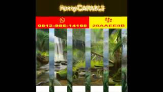 0812 - 985 – 14168,Fanny Capable,Graphic Design Inspiration Ideas, Digital Painting Photoshop