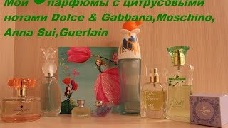 Мои ❤ парфюмы с цитрусовыми нотами:Dolce & Gabbana,Moschino, Anna Sui,Guerlain