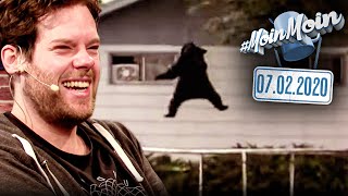 Bär auf einem Trampolin - Warum sind GIFs so unterhaltsam? | MoinMoin mit Florentin