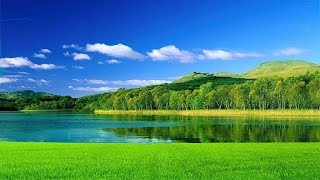 Зелёный корм для кроликов.  Кормление кроликов.