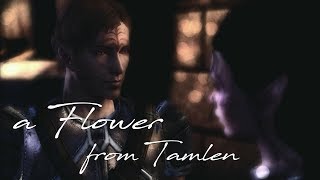 Dragon Age: Origins Mod | A Flower from Tamlen | Dalish Elf Origin
