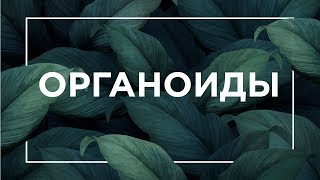 Что такое органоиды |  ЕГЭ Биология | Даниил Дарвин