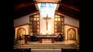 My Photos from My Year at St Leo the Great Catholic Church