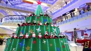 Новогодний флешмоб! Хор Дедов Морозов! Поющая елка 28.12.2014