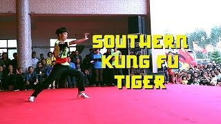 Southern Kung Fu Tiger Form