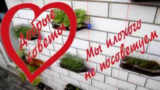 Мини огород на балконе из полторашек своими руками