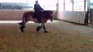 Tarek und ich im Galopp