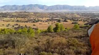 ΚΥΝΗΓΙ ΟΡΤΥΚΙΟΥ ΣΤΑ ΠΕΡΑΣΜΑΤΑ 2013 {2} quail hunting/Quaglia caccia 2013