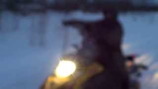 квадроцикл Polar Fox и Снегоход Тикси 250 Люкс