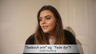 Jeg blev mobbet af en lærer