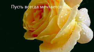 Прекрасные цветы розы хорошему человеку с добрыми пожеланиями