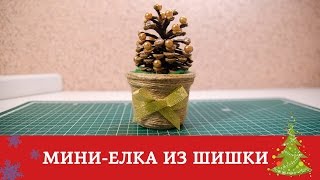 Елочка из шишки / Подготовка к Новому Году и Рождеству