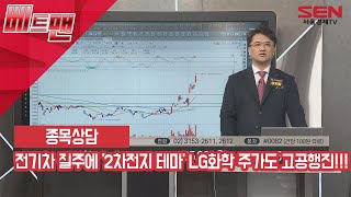 전기차 질주에 '2차전지 테마' LG화학 주가도 고공행진!!!