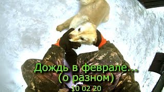 Дождь в феврале (о разном) 10 02 20