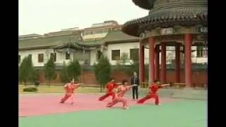 Basic Training Part THREE _ WUSHU Kung Fu - Fundamentals