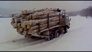 Камаз с березовыми дровами перегруз