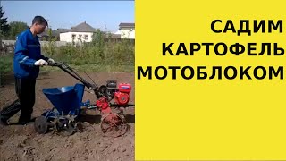 Посадка картофеля китайским мотоблоком Хопер 900 MQ