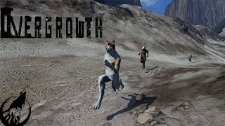 Overgrowth - Kitty Cat vs Bunny Rabbits