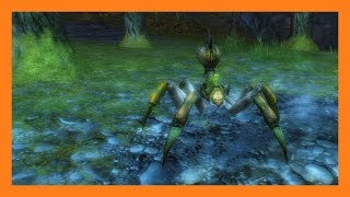 Guild Wars 2 - Forest Spider Pet Locations