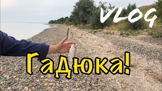За таранкой на Ейский лиман! Июль 2019